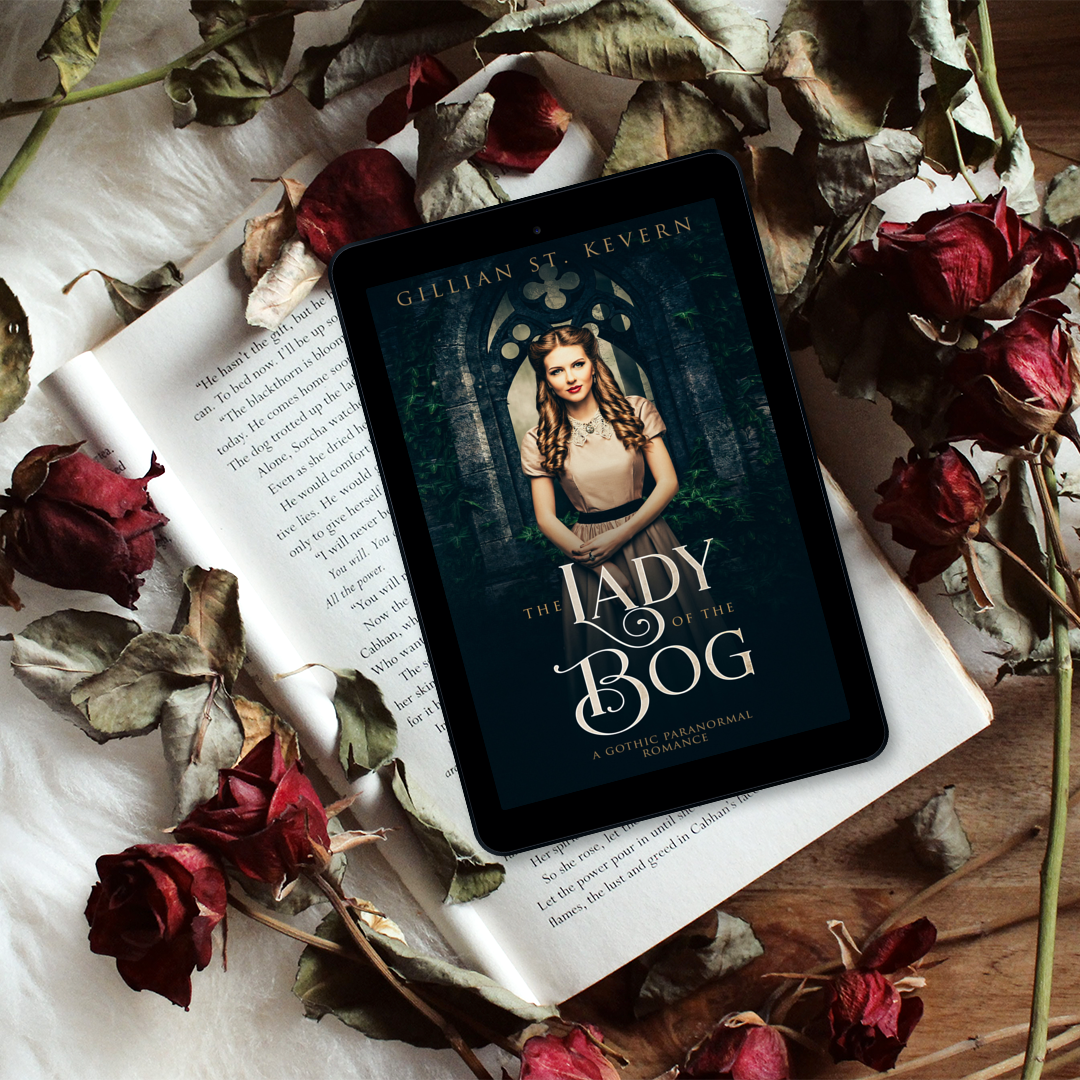 The Lady of the Bog: Brilliant Mystery!